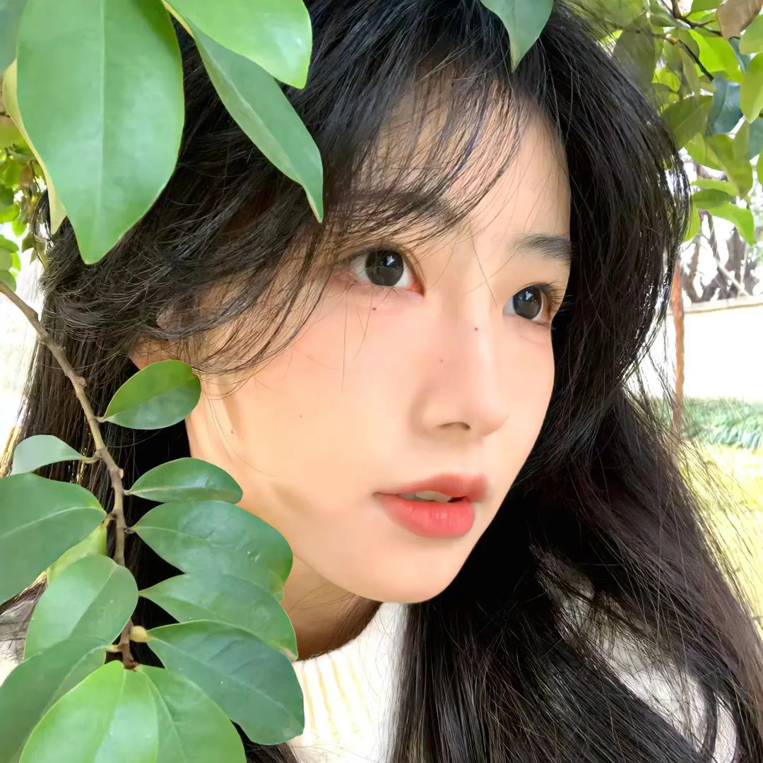 超级少女第六季